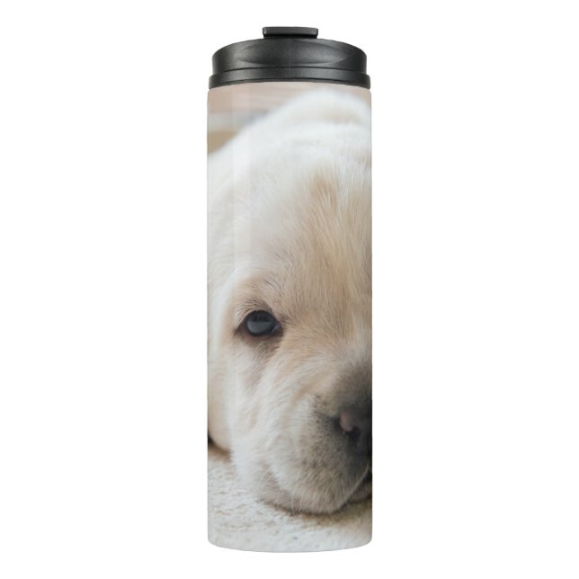 Bouteilles Isothermes Chiot doré du Labrador (Devant)