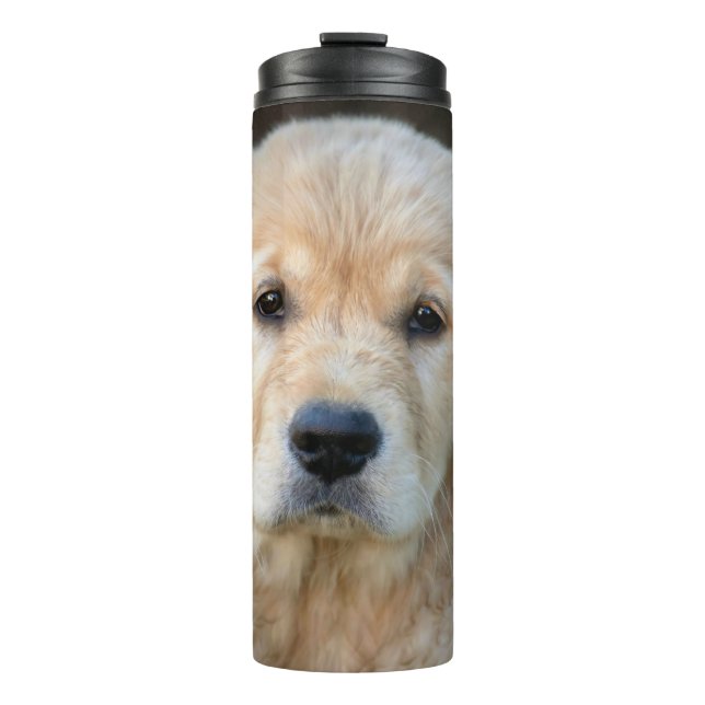 Bouteilles Isothermes Chiot Golden Retriever (Devant)
