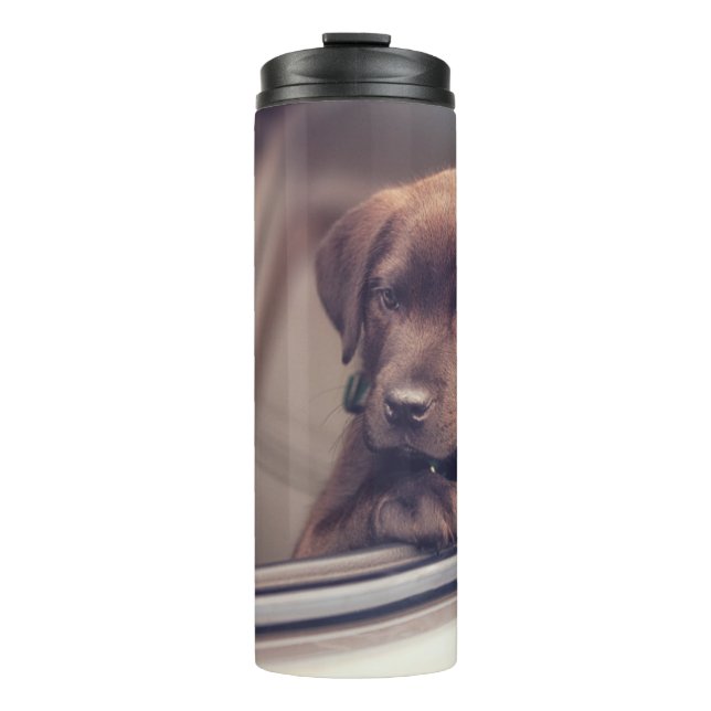 Bouteilles Isothermes Chocolat Labrador Puppy In Car (Devant)