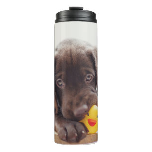 Bouteilles Isothermes Chocolat Labrador Puppy With Toy Duck