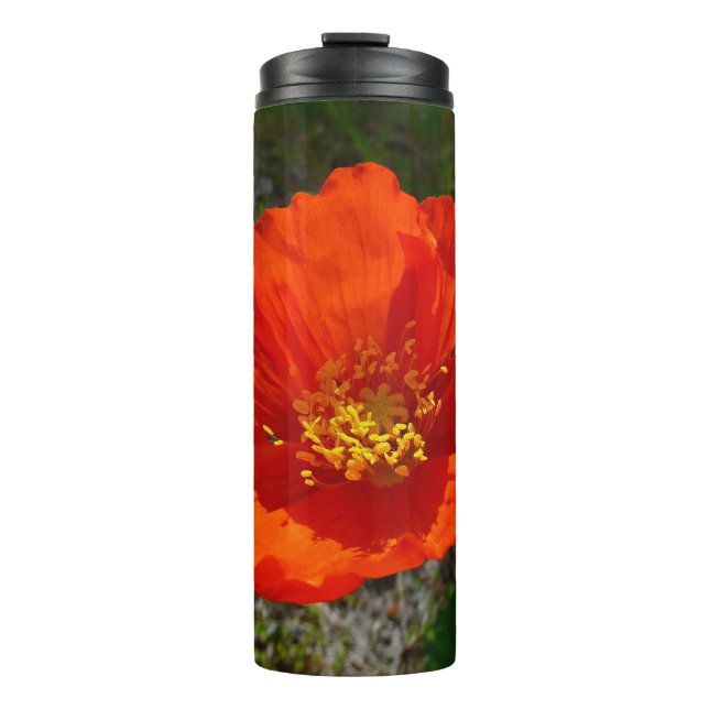 Bouteilles Isothermes Coquelicot Rouge d'Alaska Fleur Colorée (Devant)
