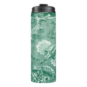 Bouteilles Isothermes Coquilles et poissons Teleostei vintage par Ernst 