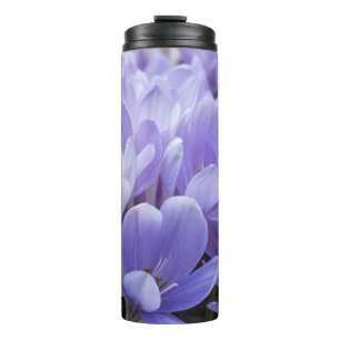 Bouteilles Isothermes Crocus