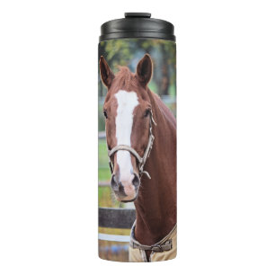 Bouteilles Isothermes Culbuteur de cheval