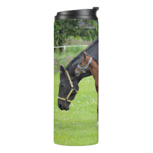 Bouteilles Isothermes Culbuteur de cheval
