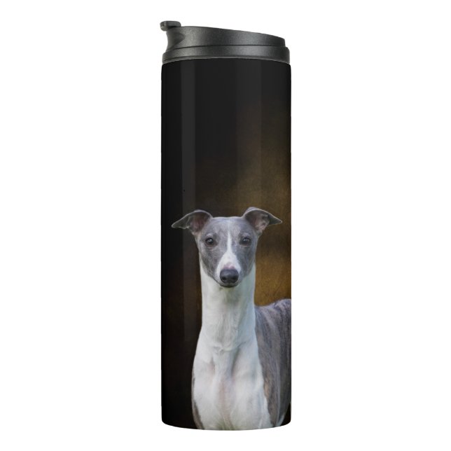 Bouteilles Isothermes Culbuteur de courant ascendant de whippet (Tourné sur la droite)