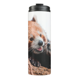 BOUTEILLES ISOTHERMES CUTE KOALA BEAR FAMILLE