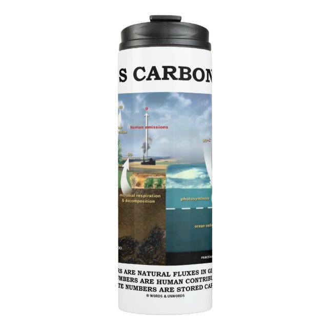 Bouteilles Isothermes Cycle du carbone de la Terre Science De l'environn (Devant)