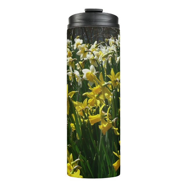 Bouteilles Isothermes Daffodiles jaunes et blancs Fleurs de printemps (Devant)