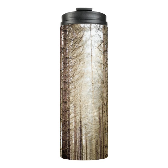 BOUTEILLES ISOTHERMES DANS LA FORÊT (Devant)