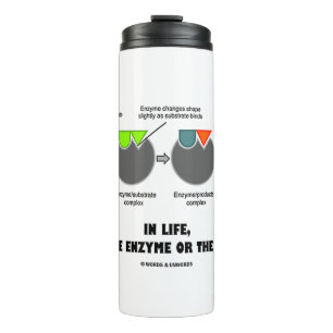 Bouteilles Isothermes Dans La Vie Êtes-Vous Enzyme Ou Substrat? Fit Indu