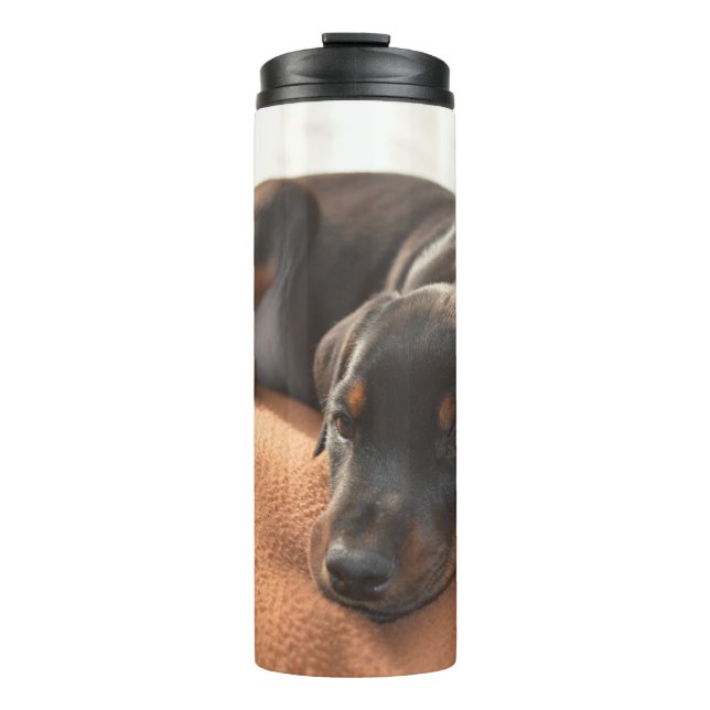 Bouteilles Isothermes doberman-pinscher-chiot (Devant)