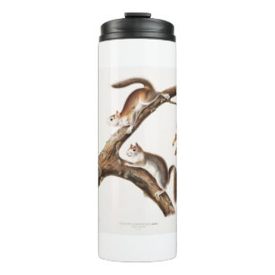 Bouteilles Isothermes Downy Brown Squirrel House