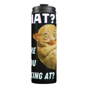 Bouteilles Isothermes Drôle Big Eyed Tarsier Ce que vous regardez