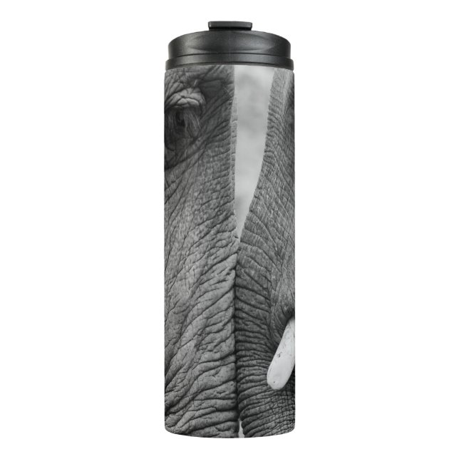 BOUTEILLES ISOTHERMES ELEPHANT COUPLE (Devant)