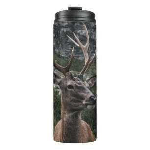 BOUTEILLES ISOTHERMES ELK STACK DEER