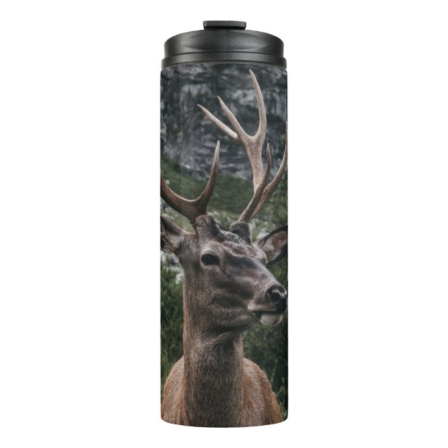 BOUTEILLES ISOTHERMES ELK STACK DEER (Devant)