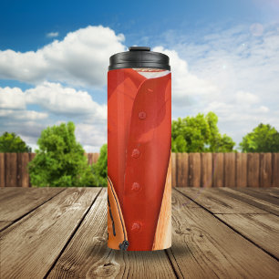 Bouteilles Isothermes Équipement photo de base-ball