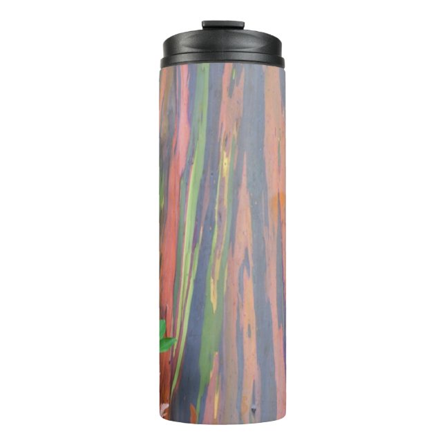 Bouteilles Isothermes Eucalyptus arc-en-ciel (Devant)
