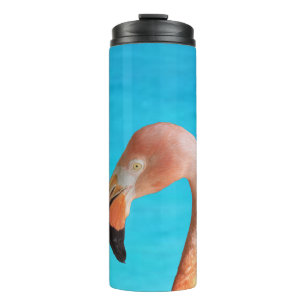 Bouteilles Isothermes Face flamingo rose contre eau bleue sur