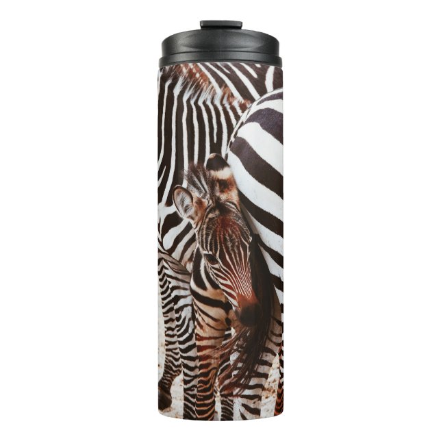 BOUTEILLES ISOTHERMES FAMILLE ZEBRA (Devant)