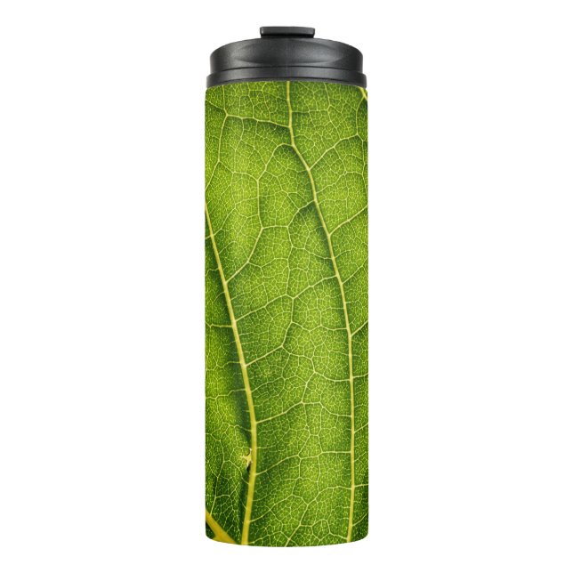 Bouteilles Isothermes Feuille verte (Devant)