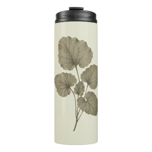 Bouteilles Isothermes Feuilles de Bardane Vert Vintage (Devant)