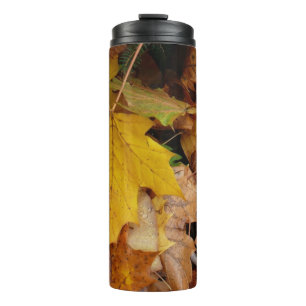 Bouteilles Isothermes Feuilles de Érable Tombées Jaune Automne Nature