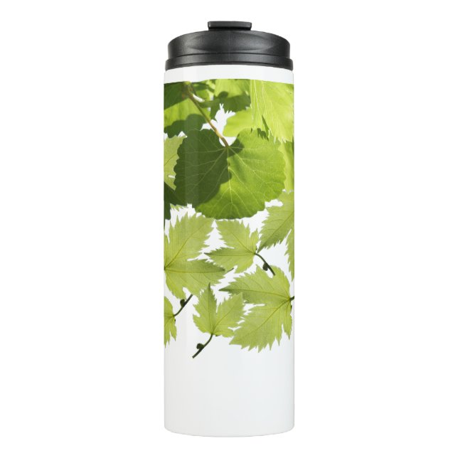 Bouteilles Isothermes Feuilles de vigne verte (Devant)