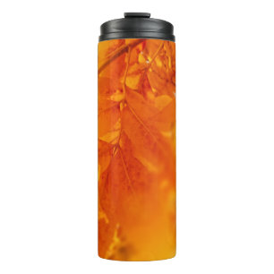 Bouteilles Isothermes Feuilles Lumineuses d'automne couleur tambour ther