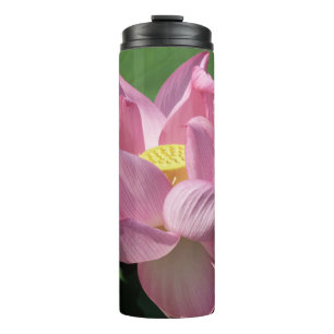 Bouteilles Isothermes Fleur de lotus rose IV