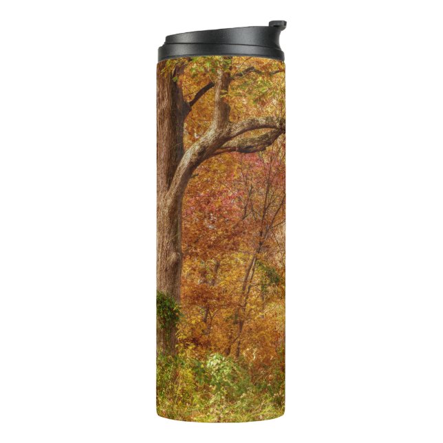 Bouteilles Isothermes Forêt d'automne (Tourné sur la gauche)