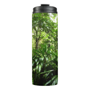Bouteilles Isothermes Forêt de pluie dominicaine I Nature verte tropical