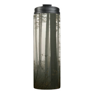 Bouteilles Isothermes forêt et silhouettes des arbres dans la nature