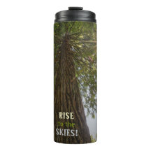 Forêt paisible avec photo de nature à lumière doré