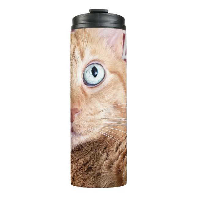 Bouteilles Isothermes Frankie (Devant)