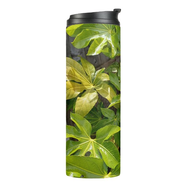 Bouteilles Isothermes Gobelet d'eau avec des feuilles  (Tourné sur la gauche)