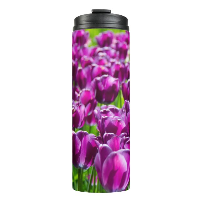 Bouteilles Isothermes Grand champ de tulipes violettes    (Devant)