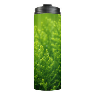 Bouteilles Isothermes Green leaves background