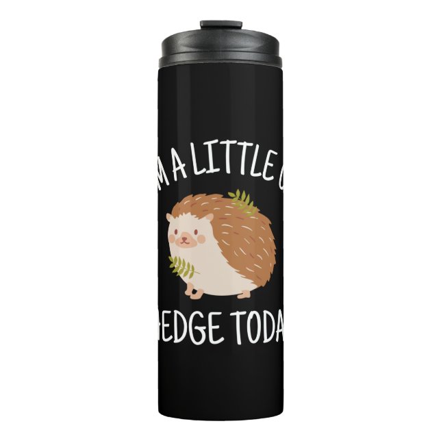 Bouteilles Isothermes Hérisson peu sur la couverture aujourd'hui (Devant)