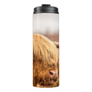 BOUTEILLES ISOTHERMES HIGHLAND CATTLE