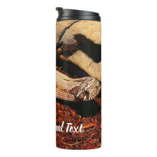 Bouteilles Isothermes Hognose Pet Snack