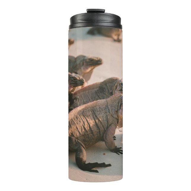 BOUTEILLES ISOTHERMES IGUANA (Devant)
