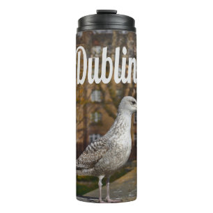 Bouteilles Isothermes Irlande de Dublin Bird sur mur de briques