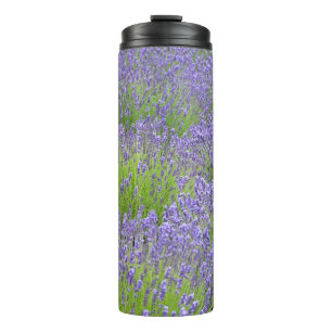 Bouteilles Isothermes Jardin de lavande violette