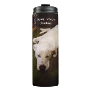 Bouteilles Isothermes Joli chien blanc dormant Joyeux Noël paisible