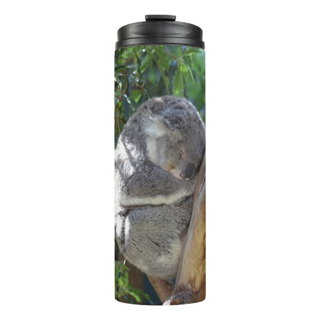 Bouteilles Isothermes Joli koala endormi dans un arbre (Devant)
