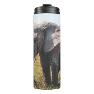 BOUTEILLES ISOTHERMES JOLIMENT ÉLÉPHANT