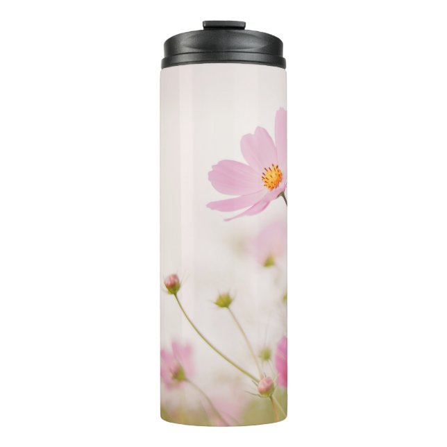 BOUTEILLES ISOTHERMES JOUR DE WINDY (Devant)