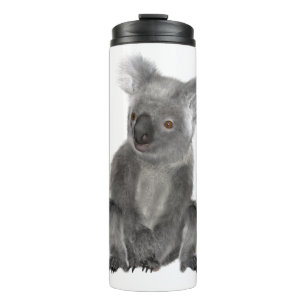 Bouteilles Isothermes Koala Bear